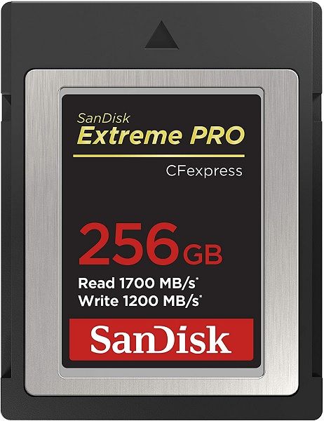SanDisk 256GB Extreme PRO CFexpress Card Type B (SDCFE-256G-GN4NN)