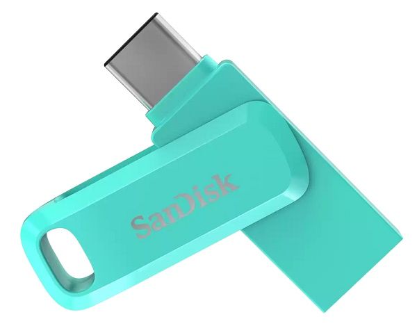 سانديسك محرك أقراص Ultra Dual Drive Go USB Type-C™ (من النوع C) 256 جيجابايت (SDDDC3-256G-G46G)