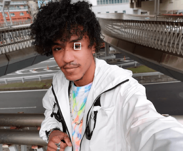 دع الكاميرا تجذب انتباهك