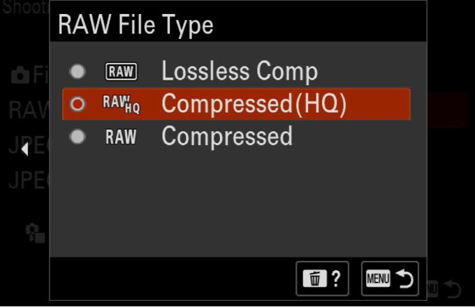 More efficient, lightweight RAW format