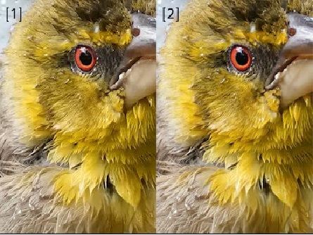Extended RAW processing uses deep learning for enhanced quality