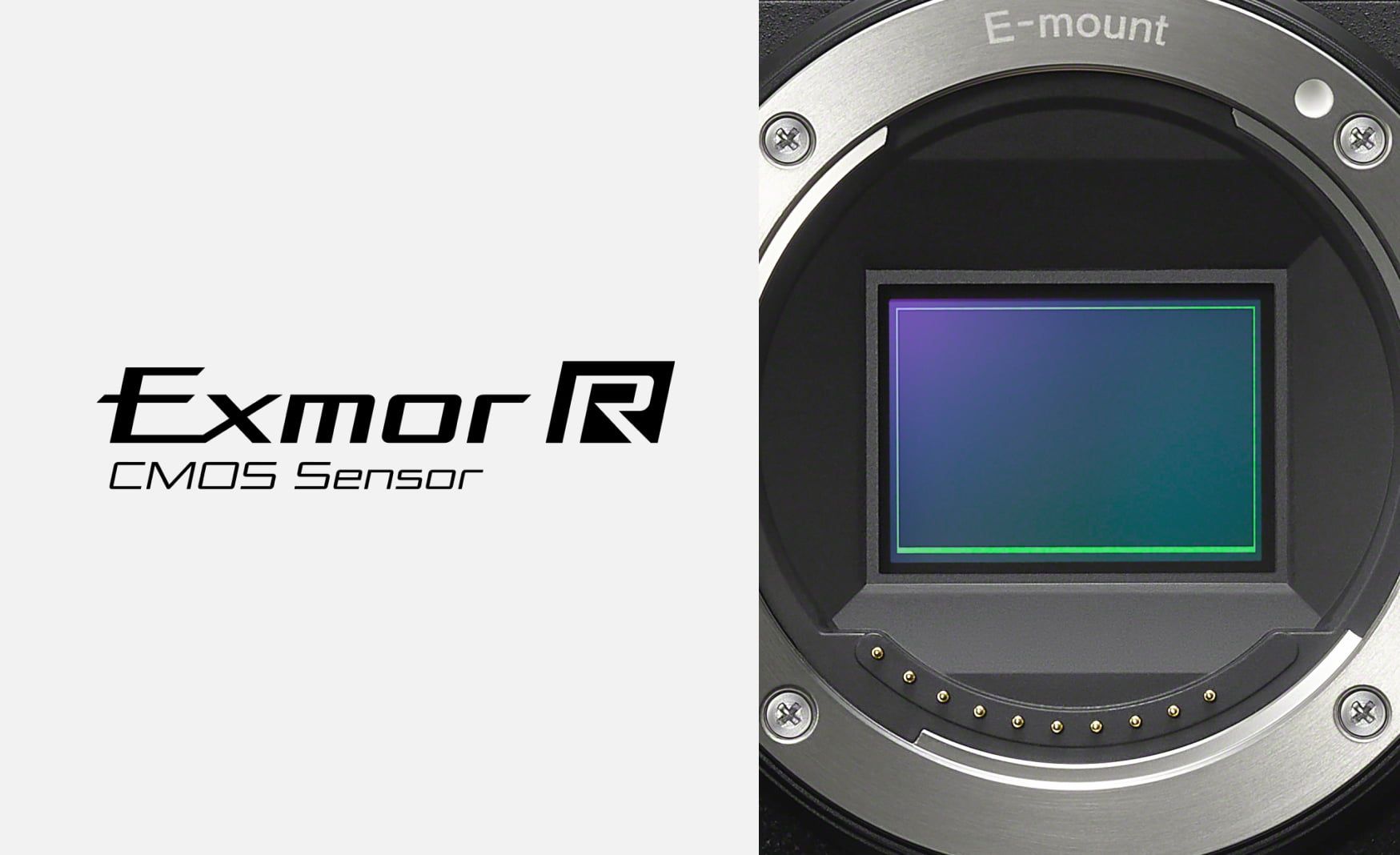APS-C format Exmor R™ back-illuminated CMOS sensor