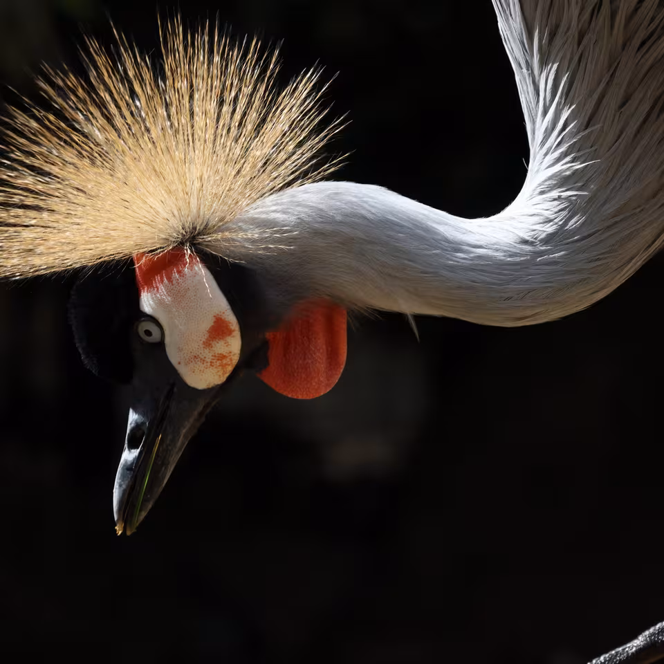 Enjoy sharp, shake-free images