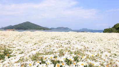 Superb landscapes